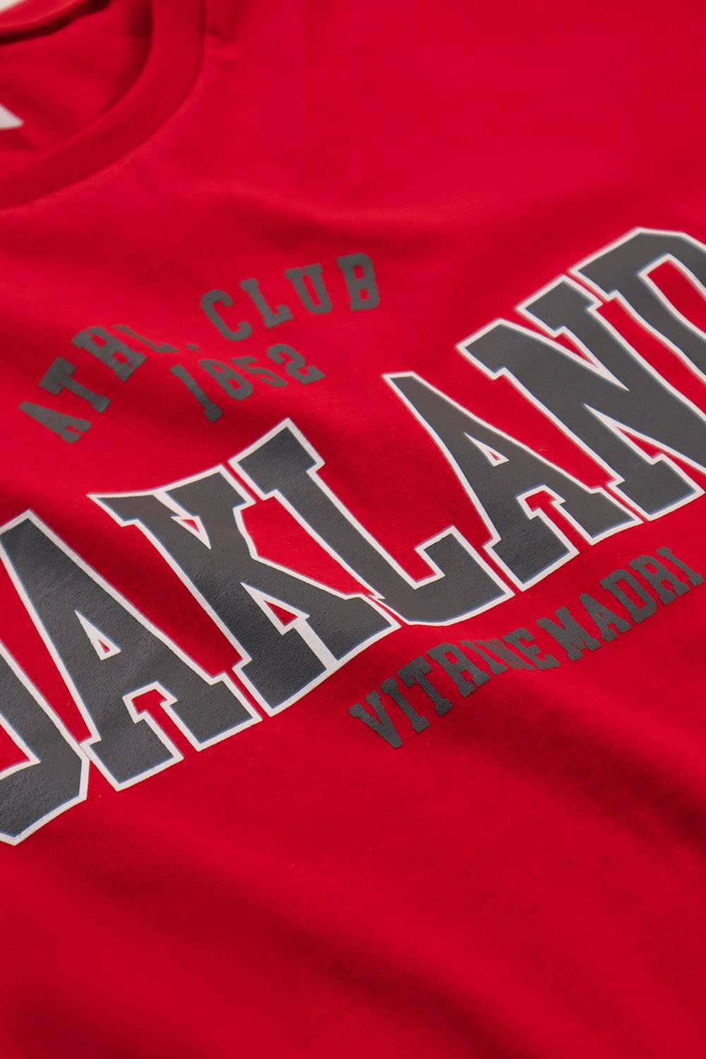 vermelho grafite 11610 detal 3