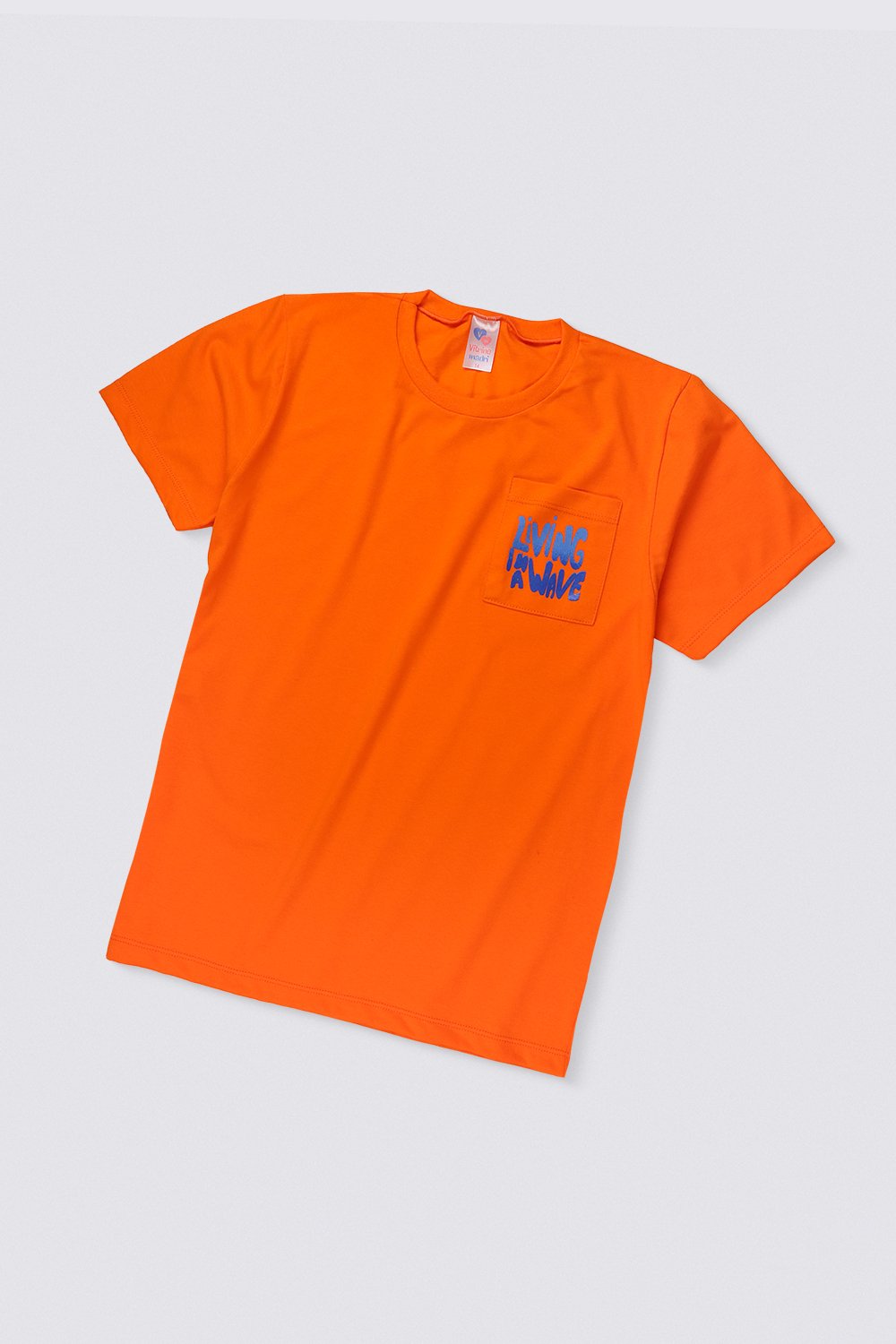 11884 laranja conceito