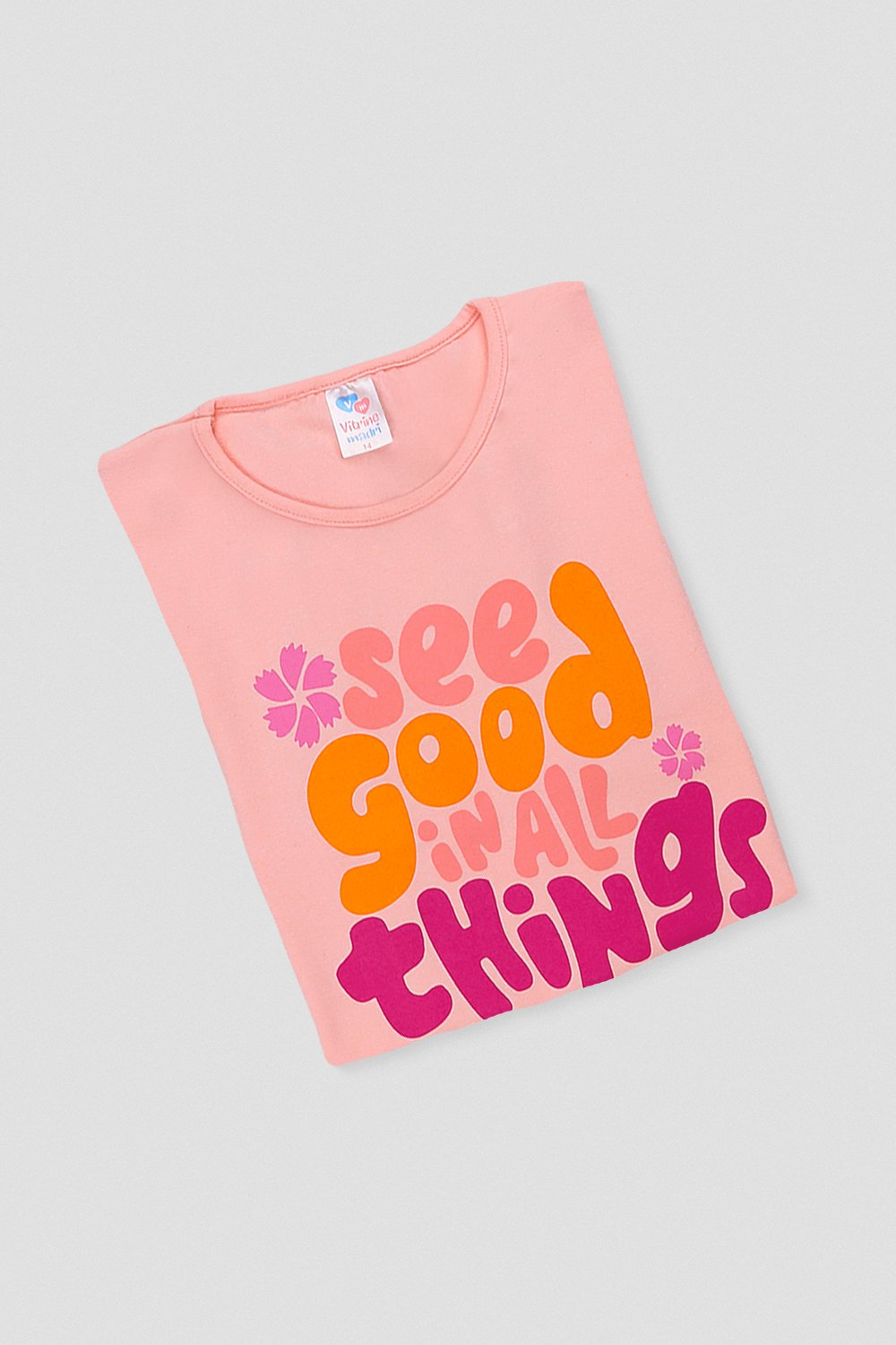 11826 salmao conceito