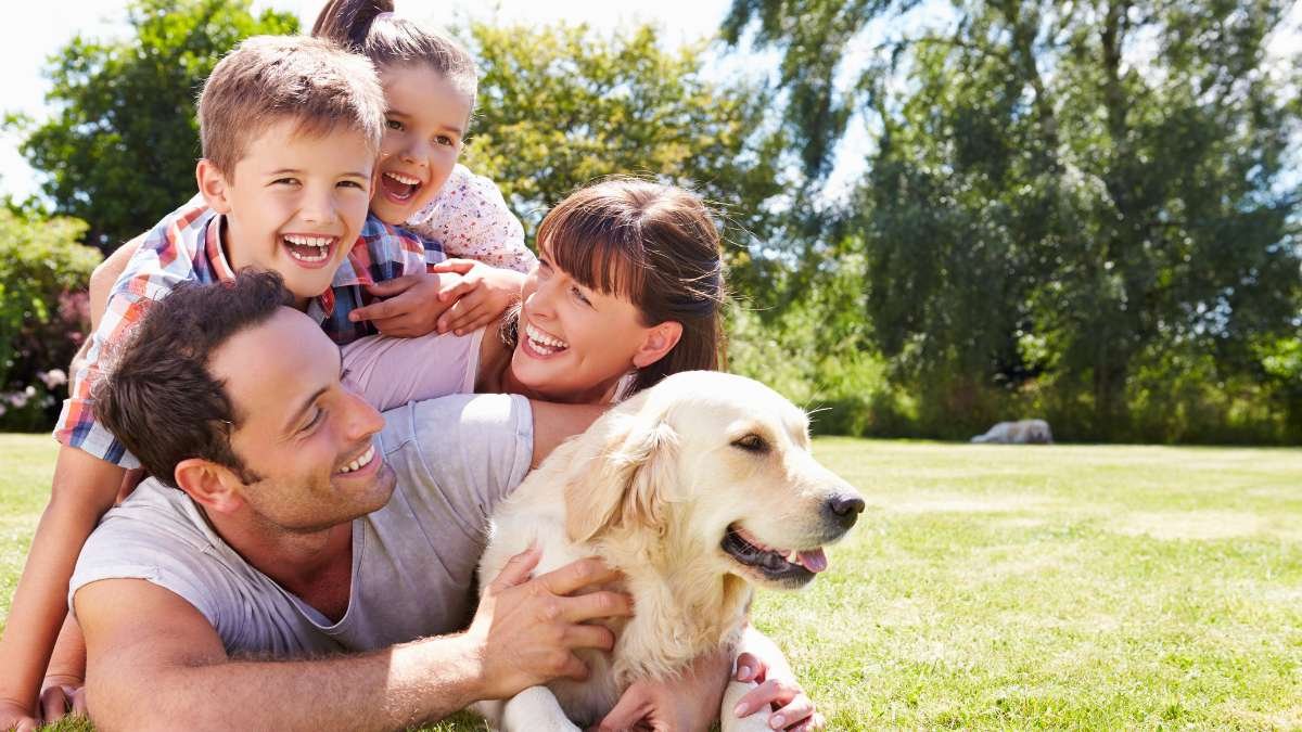 Família com o cachorro – convivência saudável entre crianças e pets