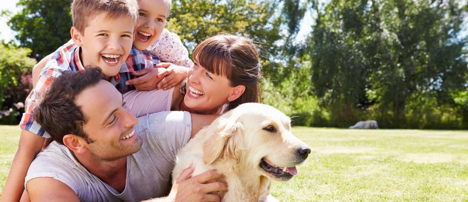 Crianças e pets: convivência saudável e higiene sem drama