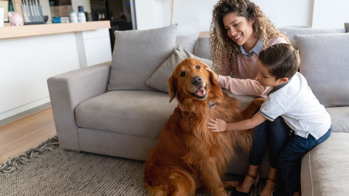 Mãe e filho com o cachorro – regras de respeito e carinho